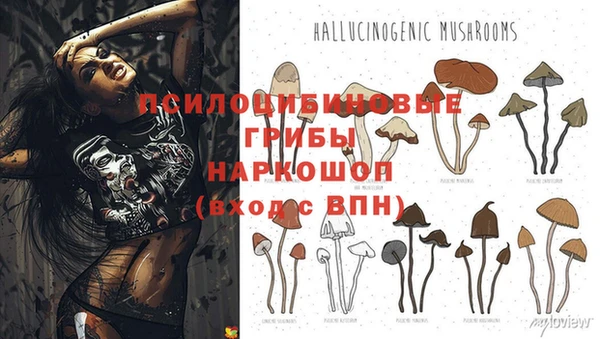 ПСИЛОЦИБИНОВЫЕ ГРИБЫ Мурманск