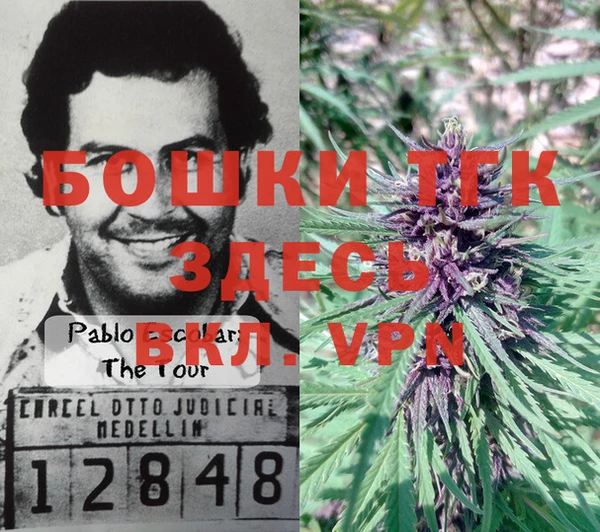 дмт Михайлов