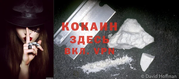 дмт Михайлов