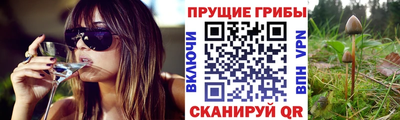 OMG ссылки  Смоленск  дарк нет наркотические препараты  Галлюциногенные грибы прущие грибы 